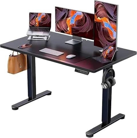 ErGear Electric Standing Desk, 48"x24" Height Adjustable Sit Stand up Desk, 4 Memory Computer Home Office Desk Standing Table with Splice Board (Black)