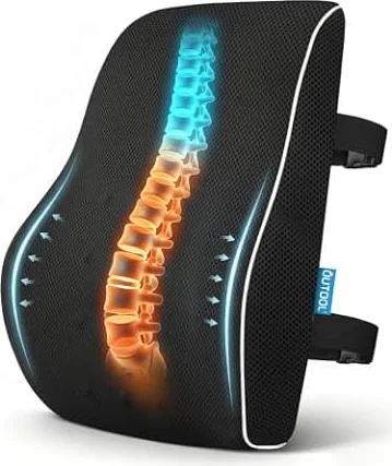 QUTOOL Lumbar Support Pillow for Office Chair, High-Density Memory Foam Back Cushion with Dual Adjustable Straps, Breathable 3D Mesh Cover, Ergonomic Back Support for Everyday Sitting